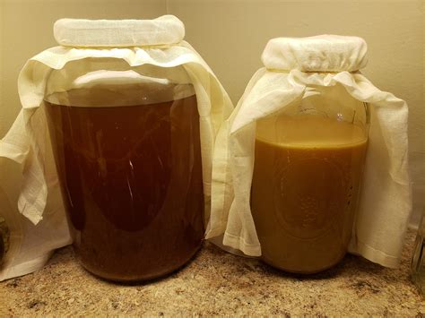 Advice wanted: What is the best way to measure the % acidity of homemade vinegar during/after ...