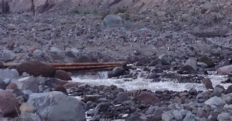 Girl Gone WILD: Day 64: the Sandy River