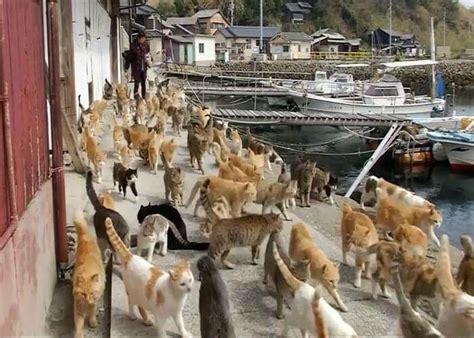 20 Updated Strange Islands Of The World (with photos)