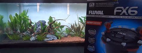 Fluval FX6 Review 的图像结果