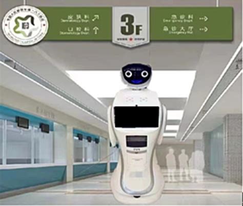 Service Robot 的图像结果
