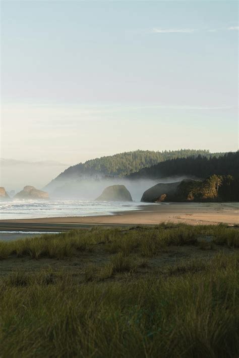 Understanding the Different Types of Communication Channels – The ...