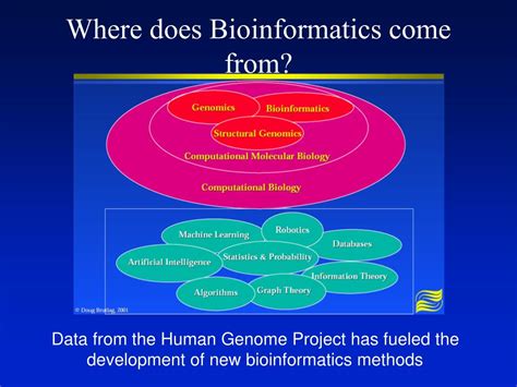 Bioinformatics Introduction 的图像结果
