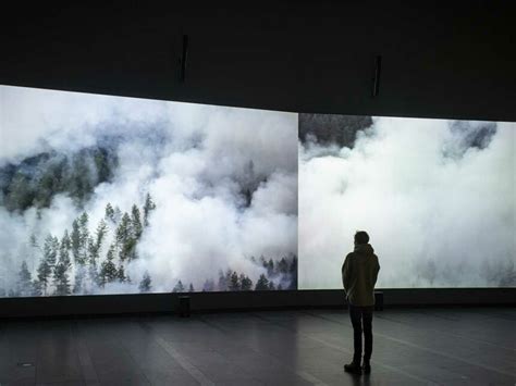 Reflection of a forest | Meer