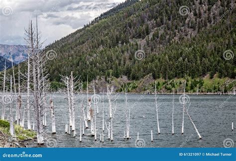 Earthquake Lake stock image. Image of forest, underwater - 61321097