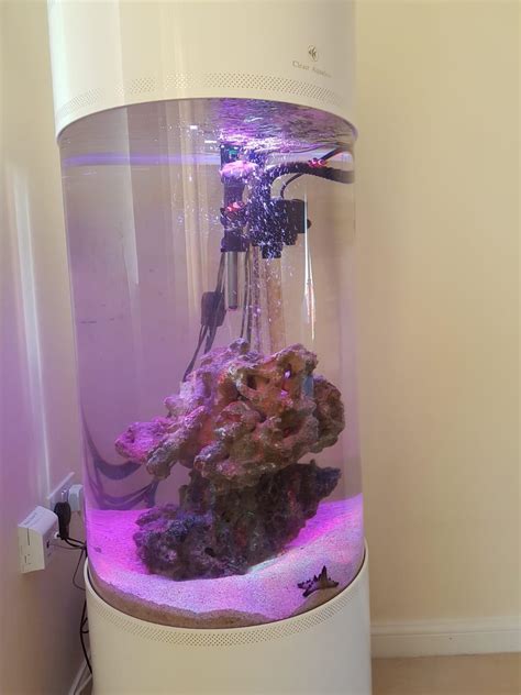 Cylinder fish tank in Doncaster for £250.00 for sale | Shpock