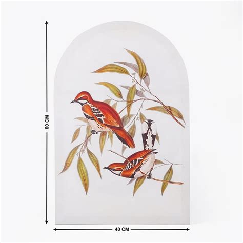 Buy Corsica Brezza Set of 2 Canvas Bird with Arch Picture Frames ...
