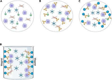 Image result for Button Cell Process Introduction