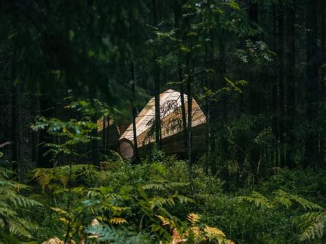 Hear the forest with these megaphones in Estonia!