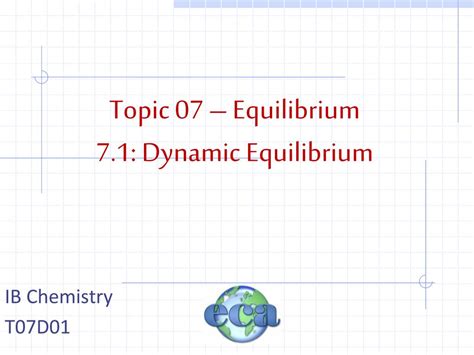 Dynamic Equilibrium 的图像结果
