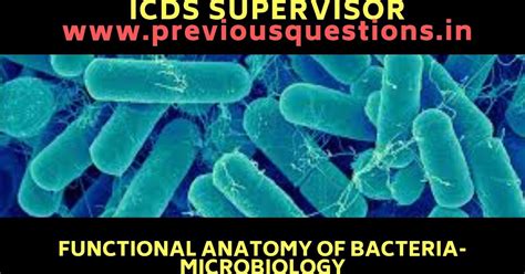 Functional Anatomy of Bacteria- Microbiology|ICDS Supervisor Kerala PSC ...