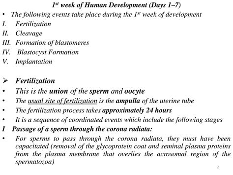 Image result for Third Week of Embryonic Development