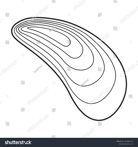 Image result for Shell Shape Outline