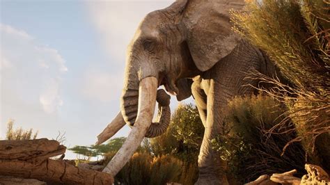 Ultimate Hunting: Official Reveal Trailer