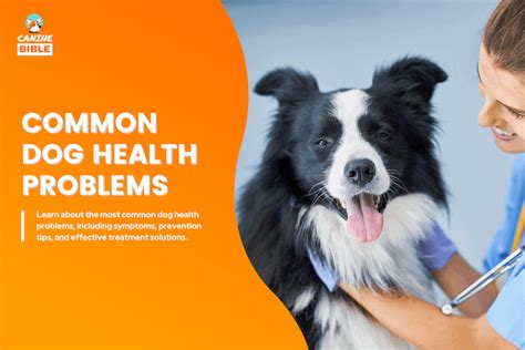 Common Dog Problems 的图像结果