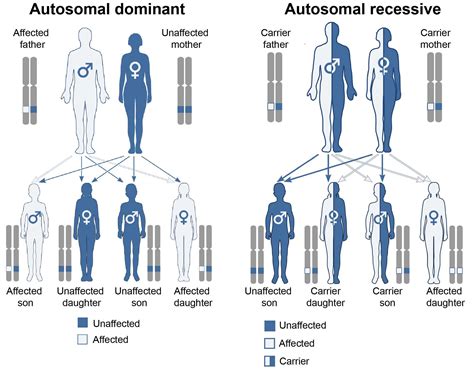 Genetics of PD – The Science of Parkinson's