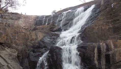 Top 6 Places to Visit in Wayanad in June - Weather, Climate and Best ...