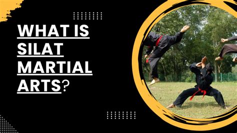 Image result for Silat Boxing