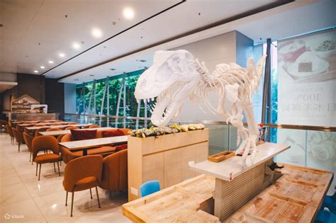 Zhiyoutiandi E3 Playland Children's Indoor Playground - Klook India