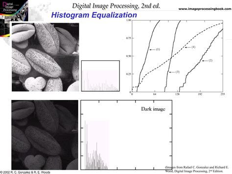 Histogram Equalization in Digital Image Processing 的图像结果