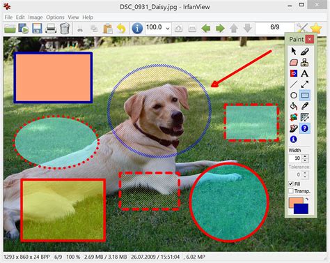 IrfanView Software 的图像结果