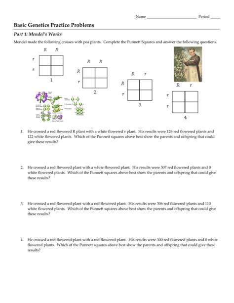 Image result for Practice Problems for Genetics