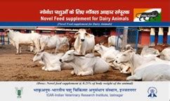 Official Website: ICAR-IVRI Izatnagar