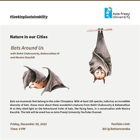 Nature in Our Cities: Bats Around Us - Azim Premji University