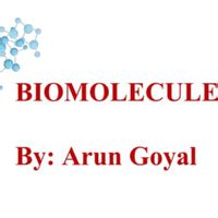 Biomolecules PPT Biology Class 12