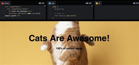 Image result for HTML CSS JavaScript Hero Image
