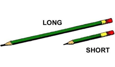 Short Path Algorithm 的图像结果