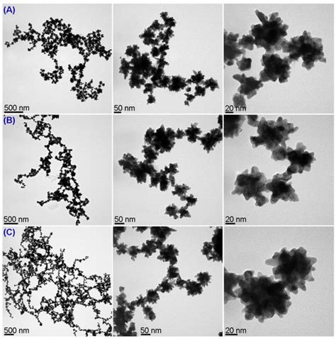 Functionalization of Gold Nanostars with Cationic β-Cyclodextrin-Based ...