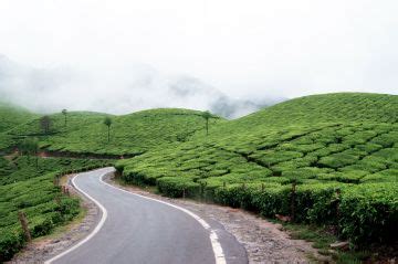 Pleasurable Munnar Tour Package for 4 Days 3 Nights from Cochin ...