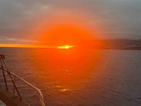 MADEIRA OCEAN TOURS (2026) All You Need to Know BEFORE You Go (w ...