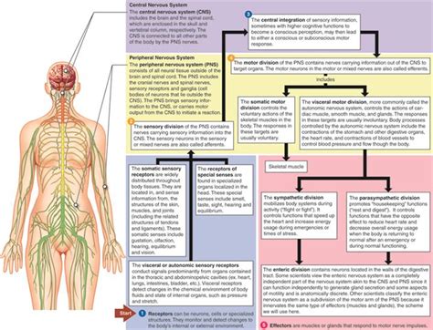 Mindmap — lesson. Science State Board, Class 10.