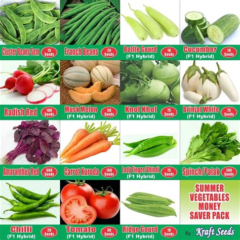 Summer Vegetable Seeds Combo (15 n 1) - MONEY SAVER PACK by Kraft Seeds ...