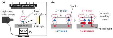 Coalescence Dynamics of Acoustically Levitated Droplets