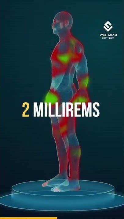 Image result for Radioactivite Corps Humain