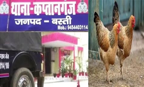 In this police station of UP, chickens are seen more than policemen ...