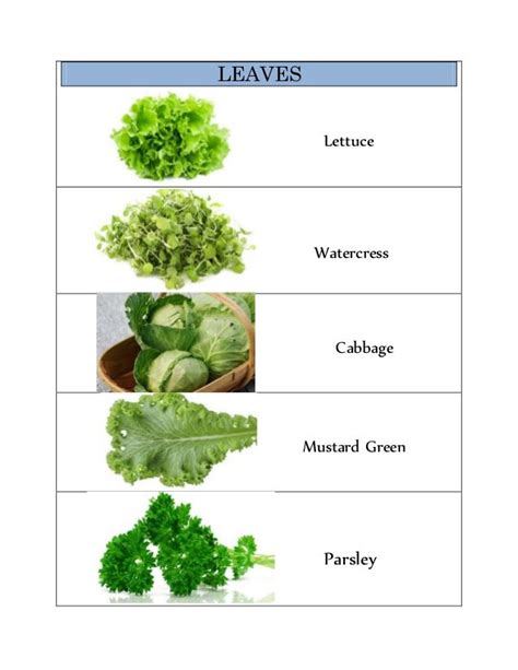 Vegetable Classification 的图像结果