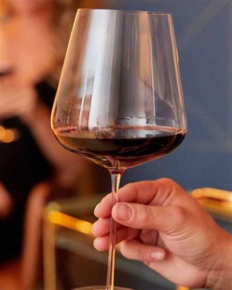 Wine Glasses - Buy Wine Glassware, Wine Glasses Sets Online – The Bar ...