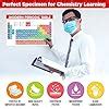 Twinster Modern Periodic Table with Real Elements Posters Size 18 * 12 ...