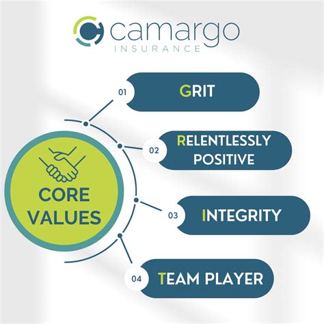 Image result for Core Values of the Infinity Insurance