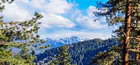 Book Georgia Escapade 7 Nights - 8 Days Tour - 7 Nights / 8 Days Tour ...