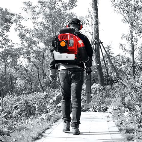 NEREIDSNET Leaf Blower-Backpack Gas Powered 2-Stroke India | Ubuy