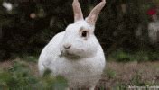 Image result for Example of Python Sequencing