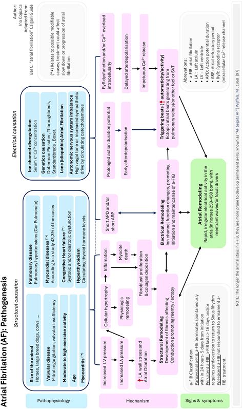 Quinidine Gluconate Mechanism Of Action Quinine Wikipedia | PDF