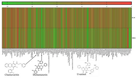 Uvarinol and Dichamanetin Derived from Uvaria chamae as Potential Dual ...