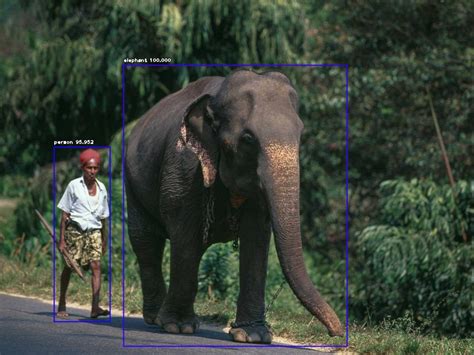 Image result for Object Detection AI Code