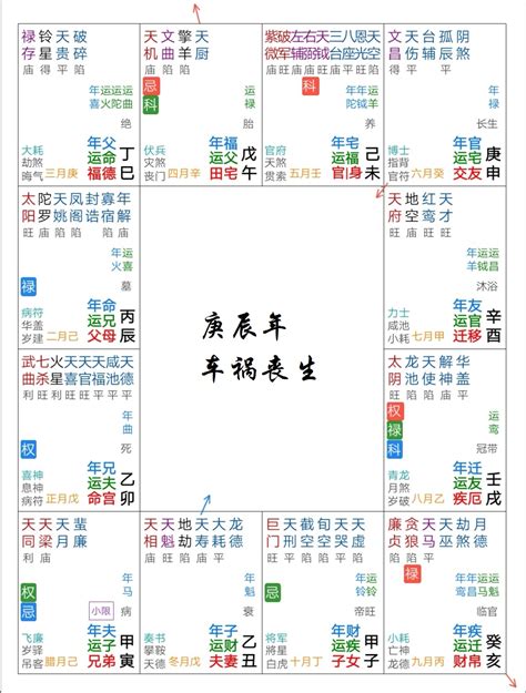 紫微斗数看玄学天赋,有玄学天赋的紫微命盘,紫微斗数怎么看(第5页)_大山谷图库